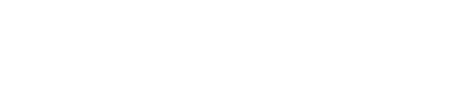LEVEL